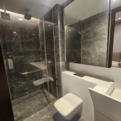 Cairnhill Nine (D9), Apartment #470788411